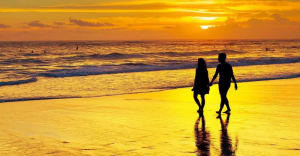 FINNOMENA PORT Strategy เดือนมกราคม 2021: The Beginning of Honeymoon Period