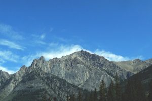 Qa Test Sub Category 02